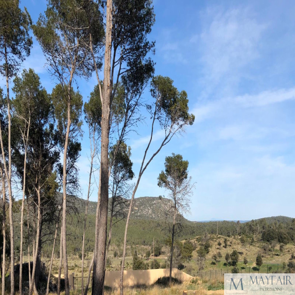 Offres de vente Terrain Saint-Bauzille-de-Montmel 34160